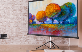 Tripod screen