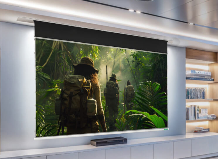 In-Ceiling Recessed Screen